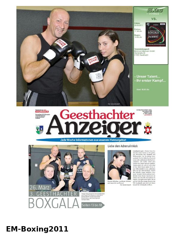 EM-Boxing 2011 – PDF preview