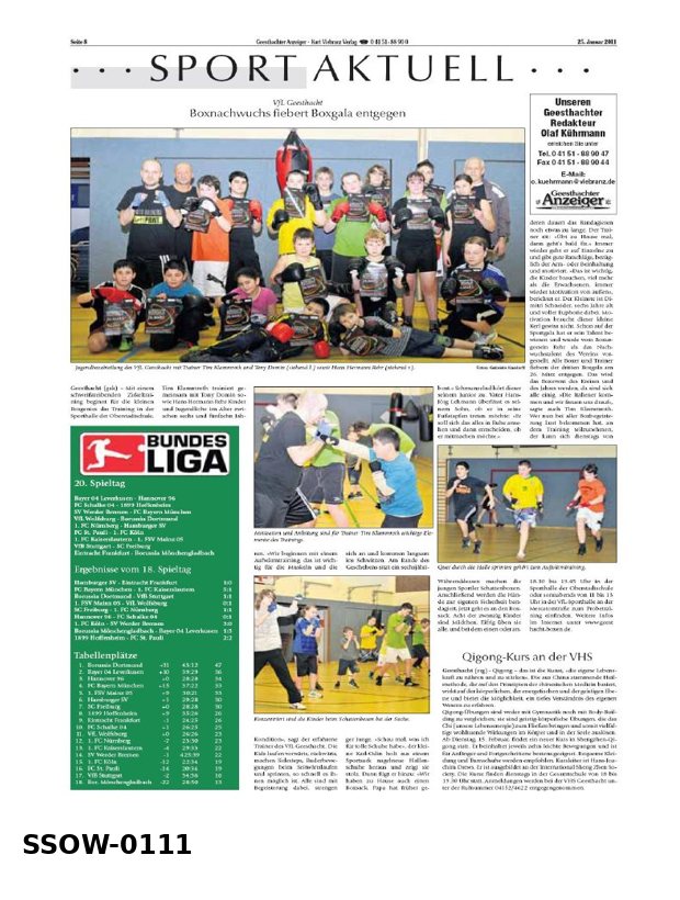 SSOW · 01/11 – PDF preview